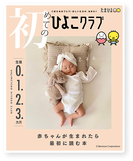 Hiyokoさまご確認用 Hiyokoさまご確認用 ひよこ様ご確認用ページ